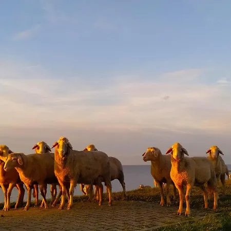 & Mehr Prázdninový dům