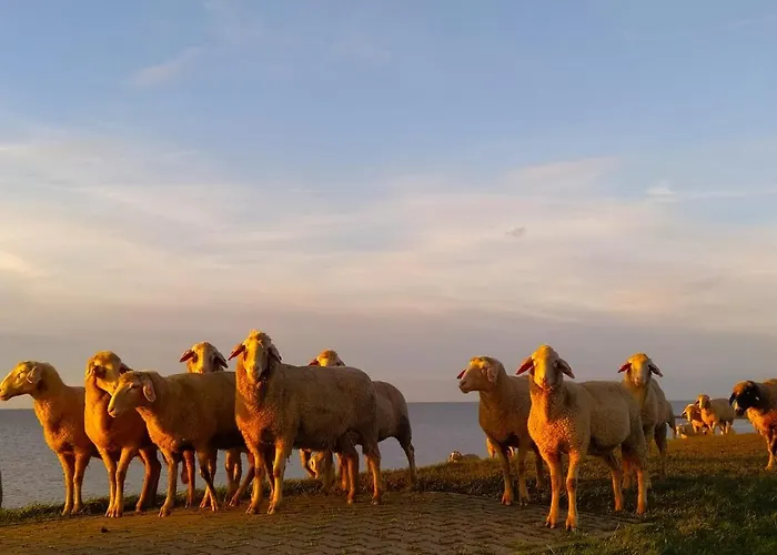 & Mehr Сasa de vacaciones