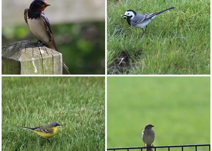 & Mehr Сasa de vacaciones
